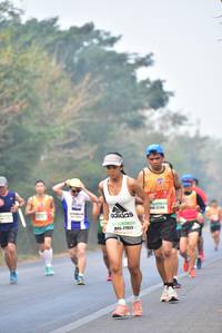 BIB: 22168, 27933
                            <button type="button" onclick="openModal(10136264)" class="btn btn-primary btn-sm float-right btn-popup" data-toggle="modal" data-target=".modal-high-quality">
                        <i class="fas fa-shopping-cart"></i> Add to Cart
                    </button>
                                            <button type="button" onclick="isThisMe(10136264, true)" class="btn btn-success btn-sm float-right btn-popup btn-isme hidden" data-toggle="tooltip" data-placement="bottom" title="นี่คือรูปของคุณใช่ไหม คลิกที่นี่เพื่อเอาเข้าอัลบั้ม">
                        <i class="fas fa-plus"></i> Add to album
                    </button>
                    <button type="button" onclick="isThisMe(10136264, false)" class="btn btn-warning btn-sm float-right btn-popup btn-isnotme hidden">
                        <i class="fas fa-ban"></i> Remove from album
                    </button>